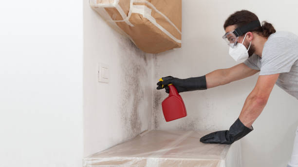 Professional Attic Mold Remediation technician working in Franklin, MI