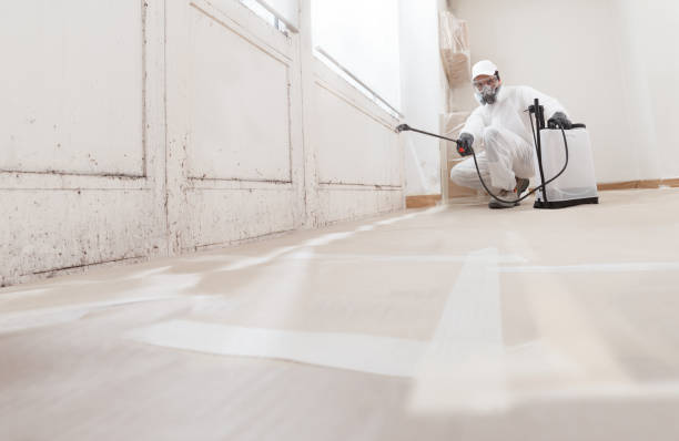 24/7 Emergency Attic Mold Remediation experts in Franklin, MI